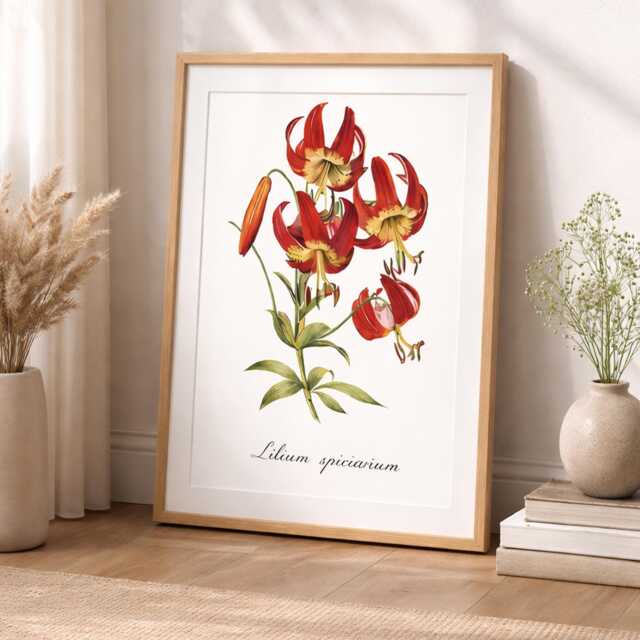 Botanical Flower Prints & Deluxe Greeting Cards. Stylish Floral Art. Wall Art, Elegant Nature Home Decor. Set Of 8 Poster - image 1