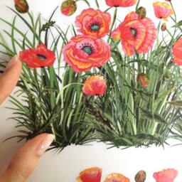 Wall Decals Grass With Poppies, Home D??cor, Kitchen Decal Border, Decor, For Tiles Walls Furniture - thumbnail 3