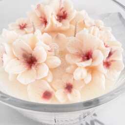 Japanese Cherry Blossom Candle, Handcrafted Botanical Cocosoy Candle, Floral Gift Candle With Sakura Blossom Petals, 430 Grams. Mum Gift - thumbnail 4