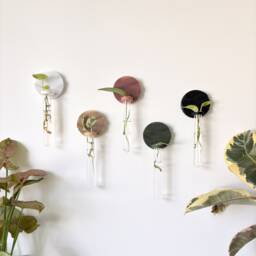 Minimalist Japandi Wall Vase/Propagation Station