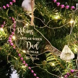 Personalised Memorial Robin Christmas Tree Bauble Decoration Ornament ~ Acrylic Xmas Gift - thumbnail 1