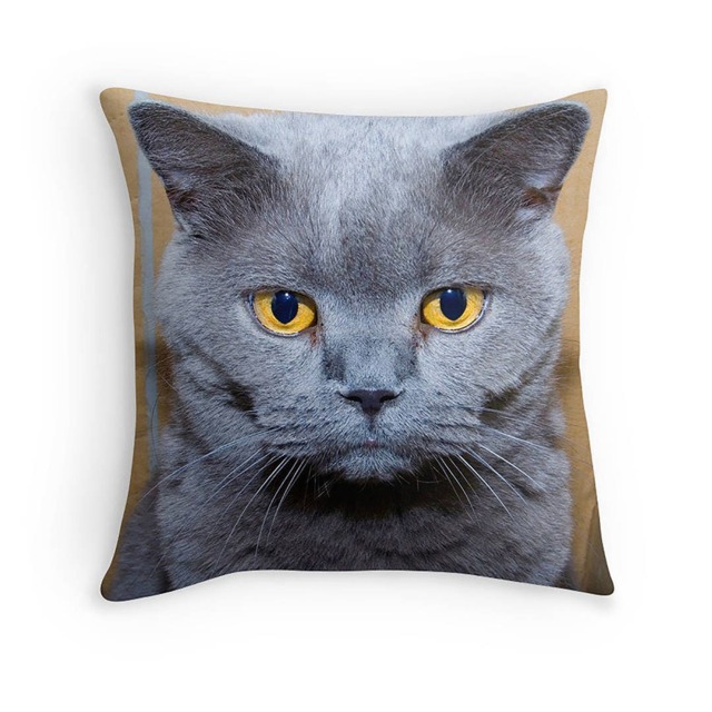 Grumpy British Blue Cat Cushion