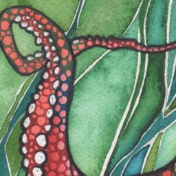 Red Octopus Watercolor Print Sea Of Green Kelp - thumbnail 3