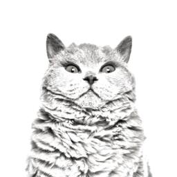 Selkirk Rex Shorthaired - Wooden Stand For Candles/Pens With The Image Of A Cat New Collection - thumbnail 2