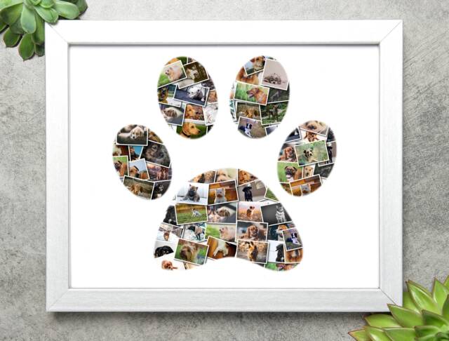 Custom Pet Photo Collage, Paw Print Art, Dog & Cat Memorial Gift, Personalized Wall Decor - image 1