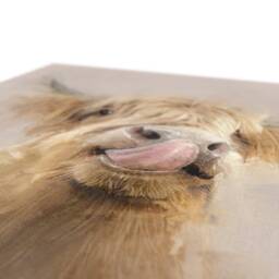 Highland Cow Flower Crown Canvas Art Farmhouse Wall Decor - thumbnail 2