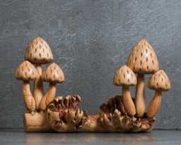 Wooden Mushroom Forest Sculpture, 9.5 - thumbnail 1
