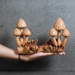 Wooden Mushroom Forest Sculpture, 9.5 - thumbnail 4