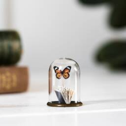 Butterfly Paper Book Art Miniature Glass Dome - Monarch Or Blue - thumbnail 1