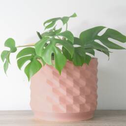 "Geometric Planter With Drainage & Saucer in Country Pink, Unique 3D-Printed Plant Pot, Small To Large Sizes 4"" 5"" 6"" 7"" 8" - thumbnail 3