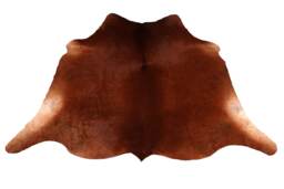 Bold Brown & White Cowhide Rug - Large Hair-On Leather For Modern Elegant Spaces - 59 X 64 Inches - thumbnail 1