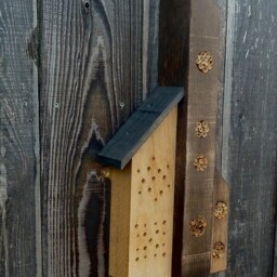 Bee & Bug Hotel - thumbnail 4