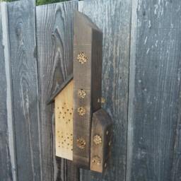 Bee & Bug Hotel - thumbnail 2
