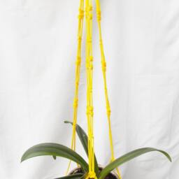 Yellow Large Plant Holder - Macrame 36 Inches 3mm Hanging Planter Wall Hanging Indoor Outdoor - thumbnail 2