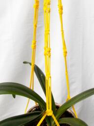 Yellow Large Plant Holder - Macrame 36 Inches 3mm Hanging Planter Wall Hanging Indoor Outdoor - thumbnail 1