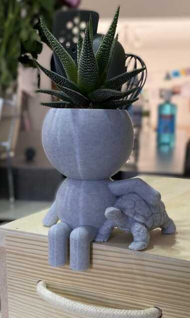 "Tortoise Succulent Planter Airplant Holder ""Wee Jimmy Hundred Miles An Hour" - image 1