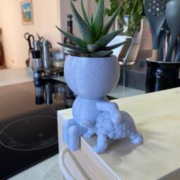 "Tortoise Succulent Planter Airplant Holder ""Wee Jimmy Hundred Miles An Hour" - thumbnail 2