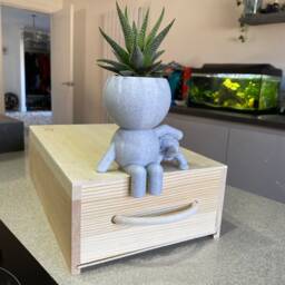 "Tortoise Succulent Planter Airplant Holder ""Wee Jimmy Hundred Miles An Hour" - thumbnail 3