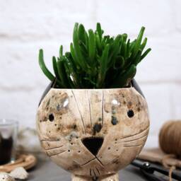 Handmade Ceramic Cat Planter With Legs Desk Decor - thumbnail 3
