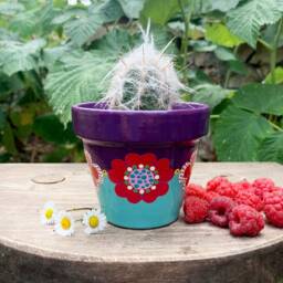 Flowerpot For Small Plants, Cactus Pot, Indoor Flowerpot - thumbnail 2