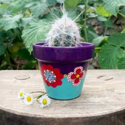 Flowerpot For Small Plants, Cactus Pot, Indoor Flowerpot - thumbnail 3