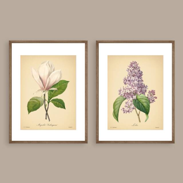 8x10'' Vintage Botanical Prints Set Of 2 Flowers Posters Rose Magnolia Flower Print Art Mother's Day Gift - image 1