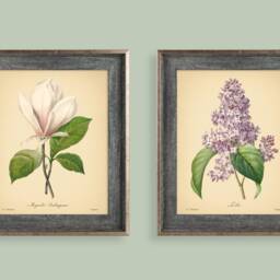 8x10'' Vintage Botanical Prints Set Of 2 Flowers Posters Rose Magnolia Flower Print Art Mother's Day Gift - thumbnail 2