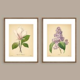 8x10'' Vintage Botanical Prints Set Of 2 Flowers Posters Rose Magnolia Flower Print Art Mother's Day Gift - thumbnail 1