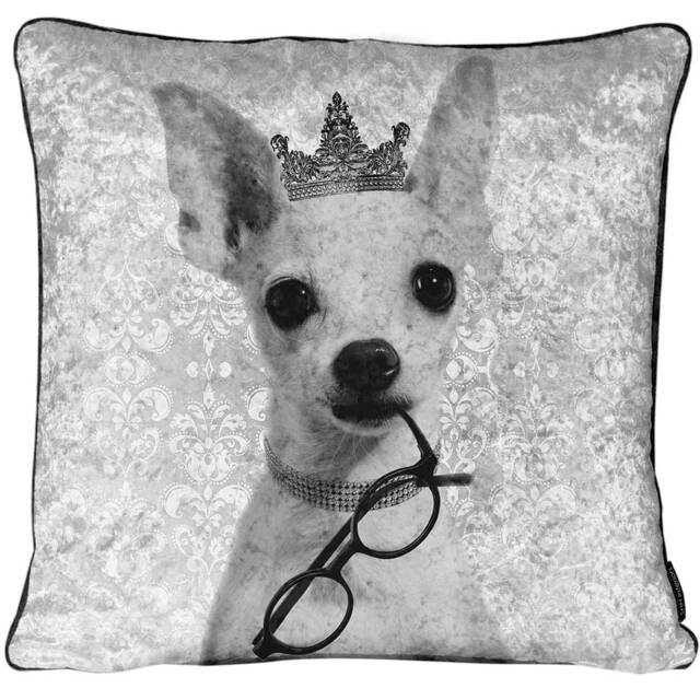 Chihuahua Black & White Filled Crushed Velvet Cushion - image 1