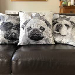 Chihuahua Black & White Filled Crushed Velvet Cushion - thumbnail 2