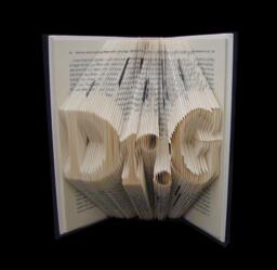 Dr.g - Doctor Phd Graduate Graduation Gift Professor 3 Letters Folded-Book Art Sculpture Unique Custom Personalized - thumbnail 1