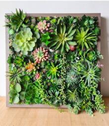 Faux Succulent 3D Wall Art Wood Framed Botanical Decor For Home Or Business - thumbnail 1