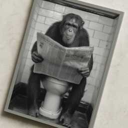 Funny Chimpanzee Wall Art Print - Quirky Bathroom Poster Black & White Monkey Artwork A3 A4 Toilet D??cor Gift For Him - thumbnail 2
