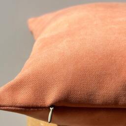 Salmon Outdoor Pillow Cover, Indoor&outdoor Pillows, Patio Pillowcase, Summer Decor, Garden Cover, Decorative Cover, Halloween Gift - thumbnail 3