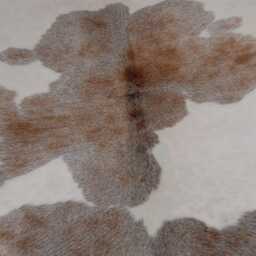 Grey & Black Large Cowhide Rug - Genuine Hair-On Leather Skin For Elegant Home Decor - 51 X 53 Inhces - thumbnail 3