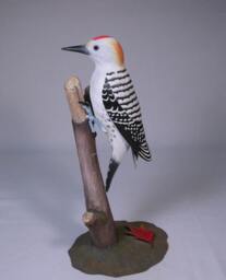 Golden-Fronted Woodpecker Hand Carved Wooden Bird - thumbnail 2