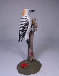 Golden-Fronted Woodpecker Hand Carved Wooden Bird - thumbnail 1