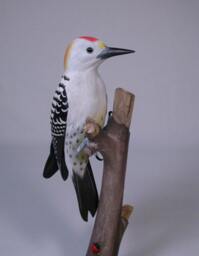 Golden-Fronted Woodpecker Hand Carved Wooden Bird - thumbnail 3