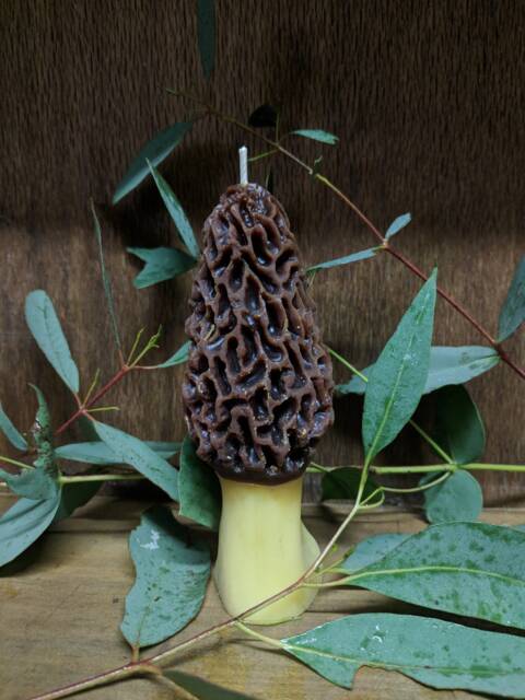 Morel Candle - image 1