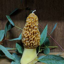 Morel Candle - thumbnail 2