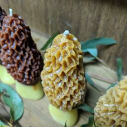 Morel Candle - thumbnail 3