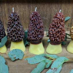 Morel Candle - thumbnail 4