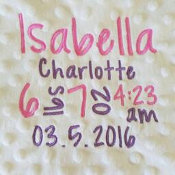 Birth Annoucement Baby Blanket-Birth Stat Blanket-Personalized Minky Baby Blanket-Custom Blanket-Monogrammed Blanket - thumbnail 2
