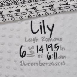 Birth Annoucement Baby Blanket-Birth Stat Blanket-Personalized Minky Baby Blanket-Custom Blanket-Monogrammed Blanket - thumbnail 3