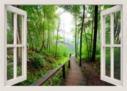 Jungle Wall Decal, Bridge in Forest Walkway 3D Window Trees Sticker, Frame Sticker