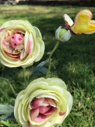 "Alice in Wonderland - Non Talking Flowers " - thumbnail 3