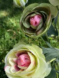 "Alice in Wonderland - Non Talking Flowers " - thumbnail 2