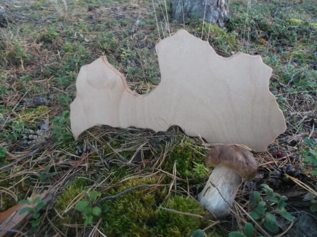 Handmade Wooden Latvia Map Beeswax Finish Wall Art - image 1