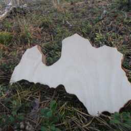 Handmade Wooden Latvia Map Beeswax Finish Wall Art - thumbnail 3
