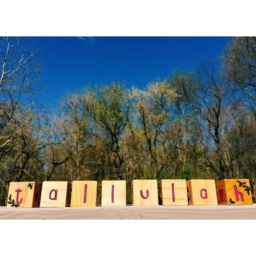 Alphabet Baby Name Blocks - Hand Painted - Custom Orders -Baby Shower - thumbnail 2